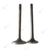Mitsubishi S4S intake exhaust valve