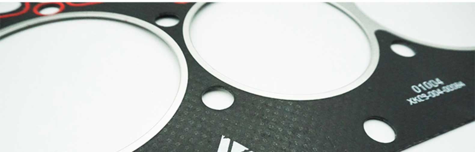 A490BPG cylinder gasket